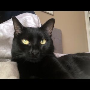 Meet your Posher, Taylor